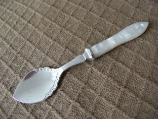 Antique Silver Plate Epns Mother Of Pearl Jam/preserve Spoon photo