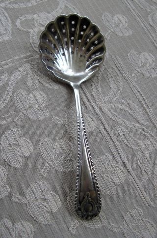 Pretty Regency Style Vintage Silver Plated Epns Sugar Sifter Spoon Shell Bowl photo