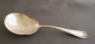 Antique 1910 Silverplate Serving Spoon - Daisy - New Daisy By International Silver photo