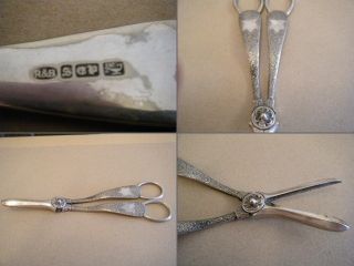 Vintage Antique Decorative Silver Plated Grape Scissors Maker R&b photo