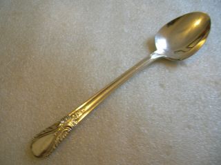 1847 Rogers Avalon Aka Cabin Pattern Serving Or Tablespoon 1940 photo