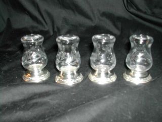 Newport Sterling Etched Glass And Sterling Salt And Pepper Shakers photo