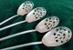 Four Rare Antique Sterling Silver & Gilt Chocolate Muddler Spoons Shamrock Bowls Other photo 8