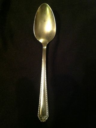 National Silver Co.  Silver Sugar Spoon Flatware photo