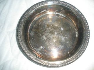Webster - Wilcox Silverplate Dish photo