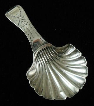 British Sterling Silver Shell Tea Caddy Spoon 1794 - 1795,  Bright Cut Decor. photo