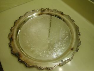 Webster Wilcox American Rose Round Tray 15 