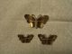 Vintage Norwegian Sterling,  Enamel Set Of 3 Butterfly Pins Scandinavia photo 1