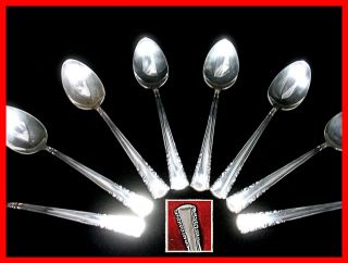 8 International Silver Place/oval Soup Spoon May Queen Silverplate 1951 Flatware photo