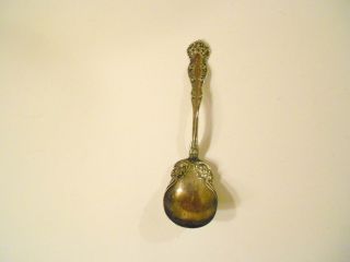 Antique Wm.  Rogers & Son Ornate Sugar Shell Spoon Repousse Floral photo