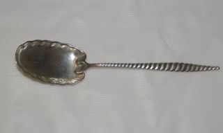 Sterling Silver Sugar Spoon Whiting Oval Twist Pattern Circa 1880 photo
