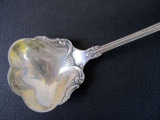 Sterling Silver Sugar Shell Spoon Antique photo