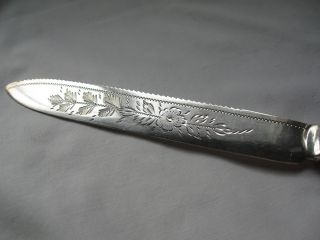 Etched Fancy Cake Knife,  Silver Mount And Mother - Of - Pearl Handle,  Old photo