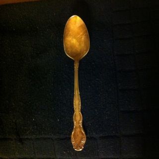 Silver Plated Nobility Spoon photo