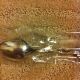 Reed & Barton Silverplate Flatware - Small Spoons With Flowers Factory Package Reed & Barton photo 3