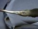 Antique Very Elaborate Marked Sterling Silver Spoon Unknown photo 6