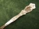 Antique Silver Pierced Ice Spoon Violet Rogers 1905 Ornate Florals Oneida/Wm. A. Rogers photo 3