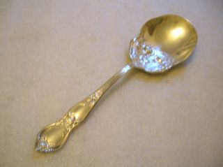 R.  C.  Co.  Rose Pattern Berry Or Casserole Serving Spoon 1903 photo