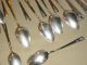 Milady 8 Dinner Knives 7 Oval Soup Spoons 5 Teaspoons 1 Sugar Spoon Dinner Forks Oneida/Wm. A. Rogers photo 10