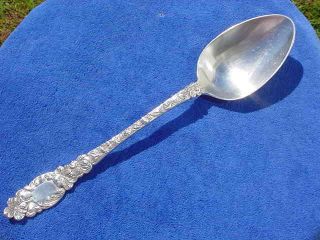 Dominick & Haff - Blossom - 1905 Sterling Large Serving Spoon 11 