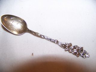 Wallace Floral Demitasse Souvineer Spoon Los Angeles photo