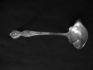 Antique Sterling Silver - Manchester - 1900 Daffodil - Small Ladle/dipper photo