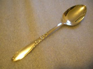 Wm.  A.  Rogers Country Lane Pattern Serving Or Tablespoon 1954 photo