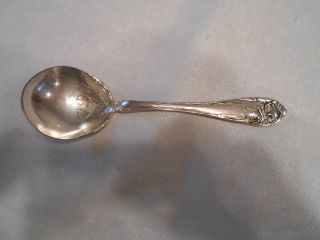 Antique Silverplate Oneida Community 1904 Fleur De Luce Sugar Spoon photo