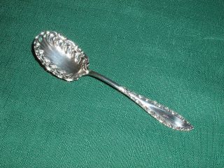 Vintage Savoy 1892 By 1847 Rogers Bros Sugar Shell Or Spoon photo