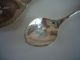 Morning Rose Pattern Pie/cake Server & Rare Small Serving Spoon/1960 Community Other photo 2