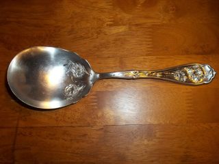 Serving Spoon Silverplate Carnation W.  R Keystone Condition See Photos photo