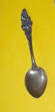 Vintage Circa 1900 Sterling Silver 7.  5 Gr Demitasse Spoon Ornate Flower Handle A Souvenir Spoons photo 1