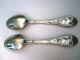 Oxford Narcissus Silverplate Teaspoons Other photo 1