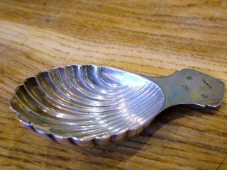 Great Quality Solid Silver Shell Caddy Spoon Hm1992 Am&co Sterling Birmingham Nr photo