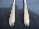 Oneida Wm A Rogers Country Lane 2 Large Serving Spoons Oneida/Wm. A. Rogers photo 2