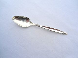 1847 Rogers Bros.  Garland,  One Demi Tasse Spoon photo