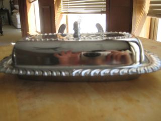 Silver Covered Butter Dish photo