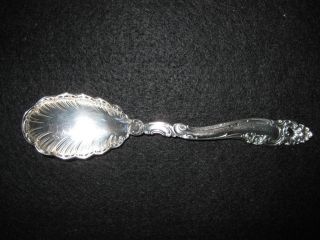 Gorham Decor Sugar Shell Spoon/1953/great Condition Guaranteed photo