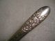 National Silver Co.  Rose And Leaf Pattern One Gravy Ladle 1937 National photo 1