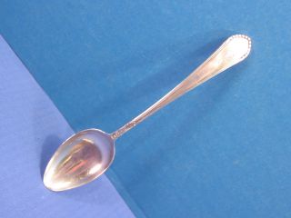 Treasure - Sterling Silver Teaspoon - Pattern Uknown photo