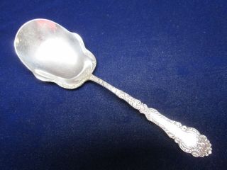 Antique Silver Large Serving Spoon Chevalier Rogers 1895 Scalloped Bowl photo