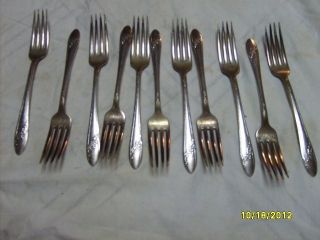 Vtg Queen Bess 12 Dinner Forks Tudor Plate Oneida Community Silverware 1946 Nr photo