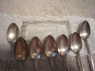 Wm Rogers & Sons Set Of 7 Icetea Or Sundae Spoons photo