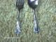 Vtg Wm A Rogers Silverplate 2 Pc Baby Fork & Spoon Set Chalice/harmony Iob Oneida/Wm. A. Rogers photo 3