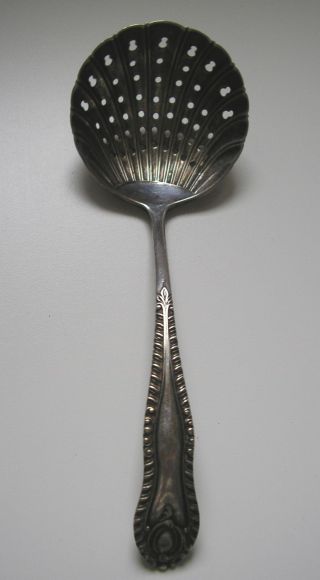 Pretty Regency Style Silver Plated Epns Sugar Sifter Spoon Large Shell Bowl photo