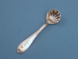 Oval Thread Coin Silver Salt Spoon photo