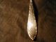Silverplated Soup Ladle Savoy Circa 1892 Rogers Bros International/1847 Rogers photo 1