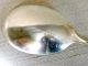 Close Out  Melody 1954 Solid Silverplate Casserole Spoon International/1847 Rogers photo 4