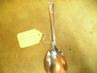 Wm.  Rogers Aa.  Berry Spoon Pattern Spring Charm photo