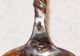 Old Antique Dutch.  835 Silver Spoons With Case,  P.  Abrahamson Juwelier,  La Haye Other photo 11
